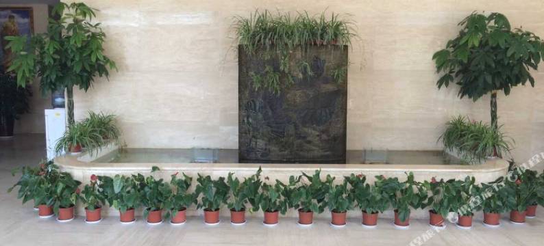 灵宝龙光酒店图片