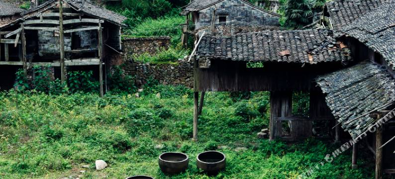 临海胜坑草宿图片