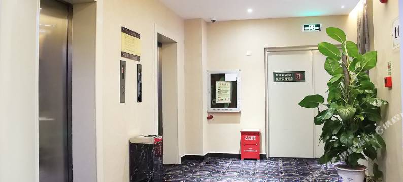 深圳龙园尚景精品酒店(梨园地铁站店)图片