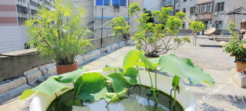 南阳顺达宾馆图片