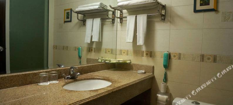 东莞金年丰酒店图片