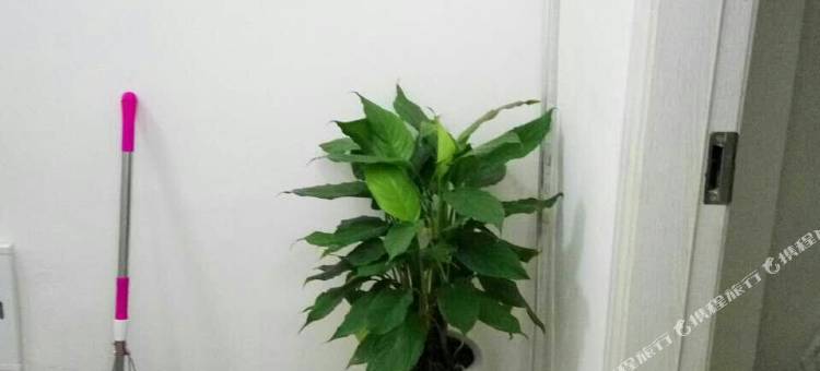 心怡24小时快捷宾馆(南昌西站店)图片