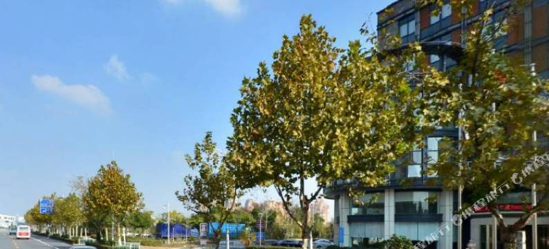 平湖新天地酒店图片