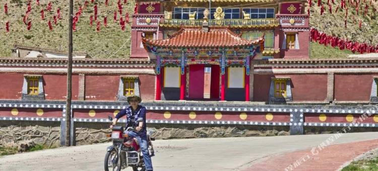 青海湖鸟岛牧人家帐房宾馆图片