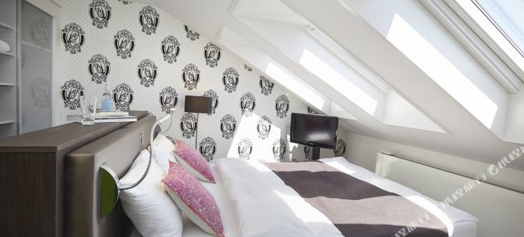 鲁特利索雷尔酒店(Hotel Rutli)图片