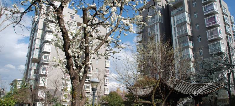 丽江360度雪山观景90平米精品豪华家庭套房图片