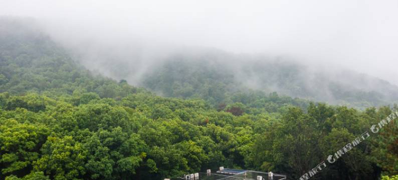 杭州堂庭青芝坞民宿(西湖店)图片