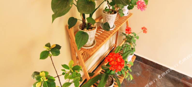 大理铭苑雅居精品客栈图片