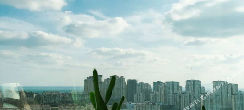 青岛2801公寓图片