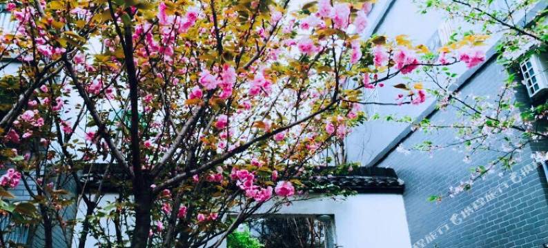 杭州乐觅画室复式公寓图片