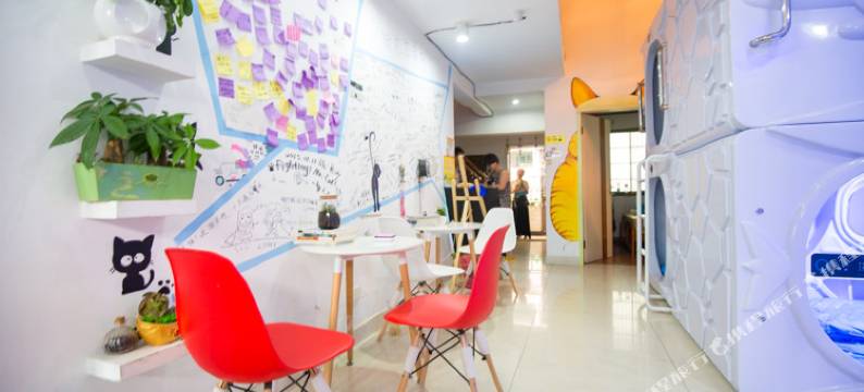 长沙猫窝太空舱青年旅舍图片