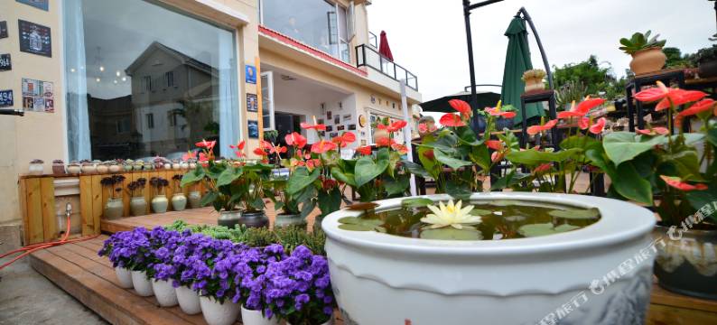 昆明滇池小栈花园别墅客栈图片