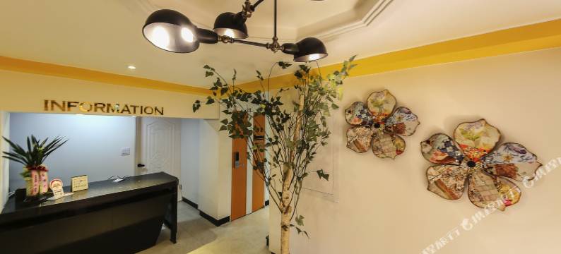 首尔新村番薯酒店(In Seoul Shinchon Goguma)图片