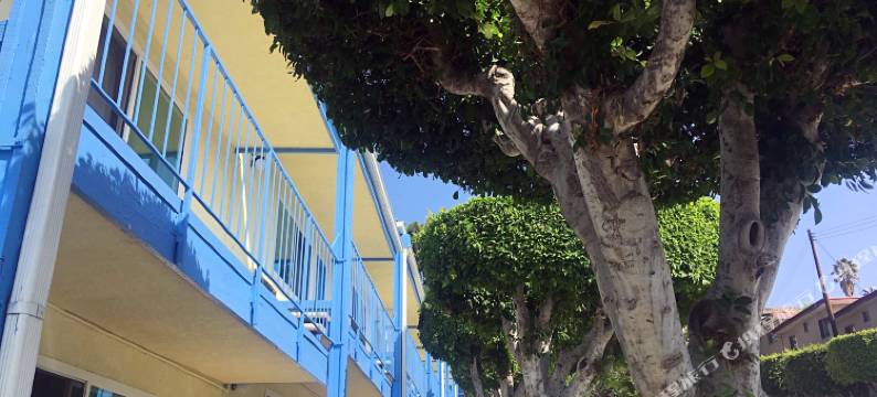 国王小屋汽车旅馆(King Lodge Motel)图片