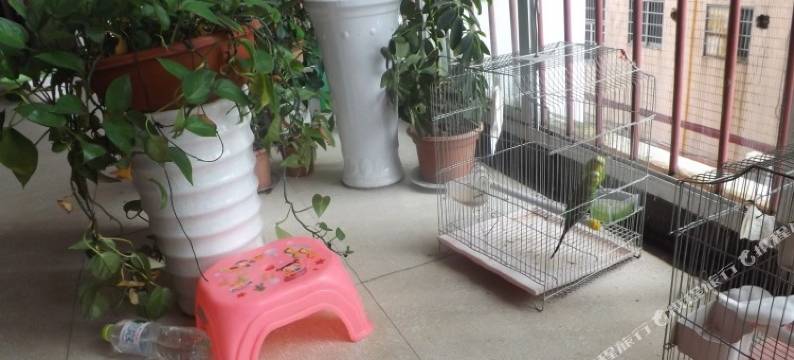 北海红宇宾馆图片