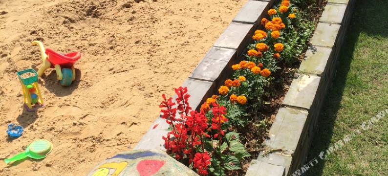 莫干山沐心坊咖啡客栈图片