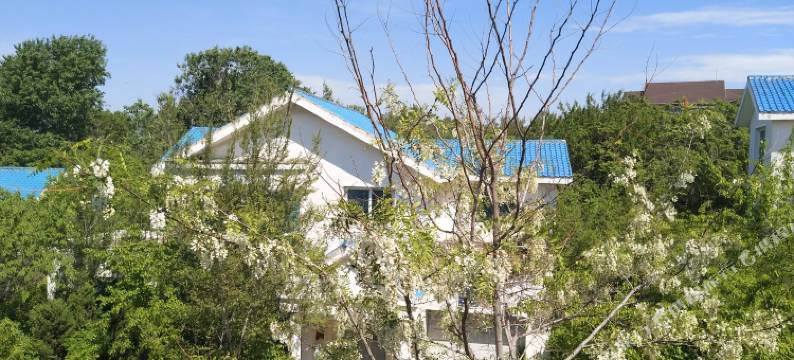 沈阳半山花语独栋别墅图片