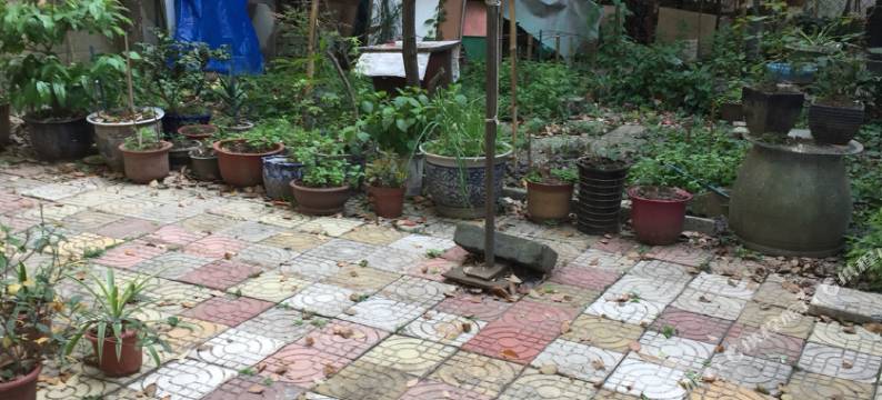 上海棒冰特色民宿图片