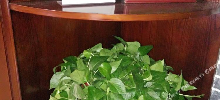 普陀山和和精品客栈图片