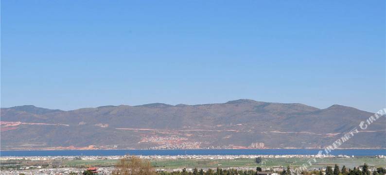 天龙居客栈(大理古城南门楼店)图片