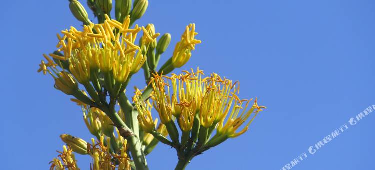 洋老院民宿图片