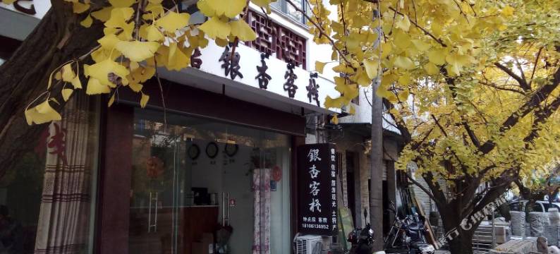 苏州银杏客栈图片