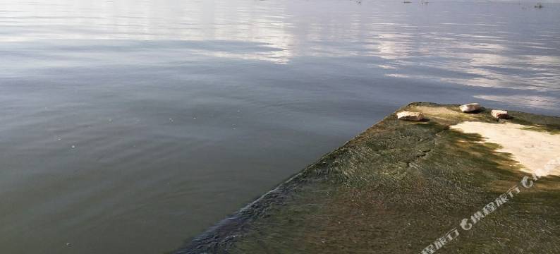 大理文化小院客栈图片