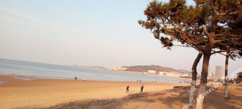 威海市政府北普通公寓(文化西路店)图片