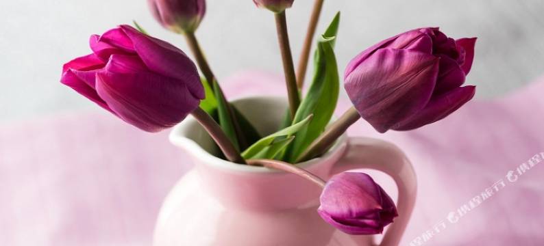 蜀南竹海竹音阁酒店图片