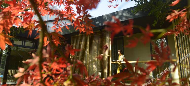 武夷山彝山兰若文化艺术生活美学馆图片