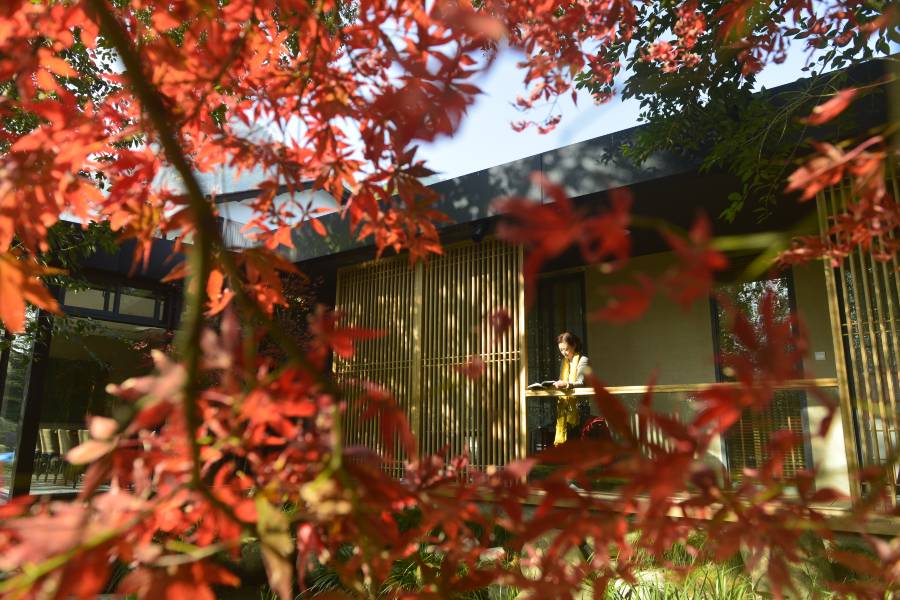 武夷山彝山蘭若文化藝術生活美學館