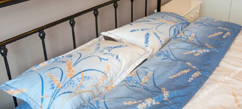 上海陆家嘴精品民宿图片