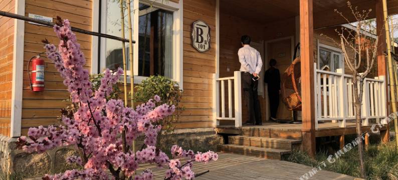 嵩县白云小镇自驾游营地木屋图片