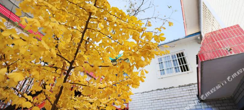 西安秋千小栈普通公寓(体育路店)图片