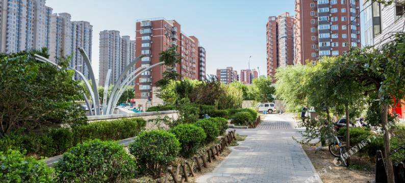 北京泽居民宿图片