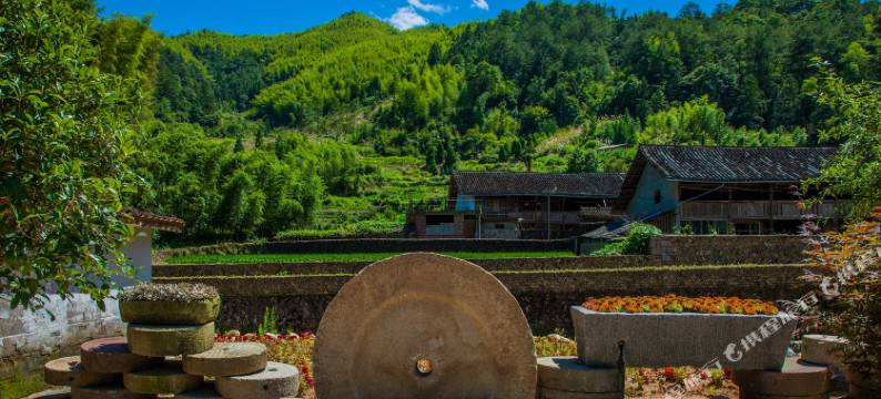 景宁尚礼居民宿图片