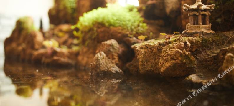 伊川县鸣皋顺阳公寓图片