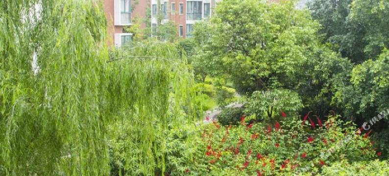 桂林山水间的家公寓(平桂西路分店)图片