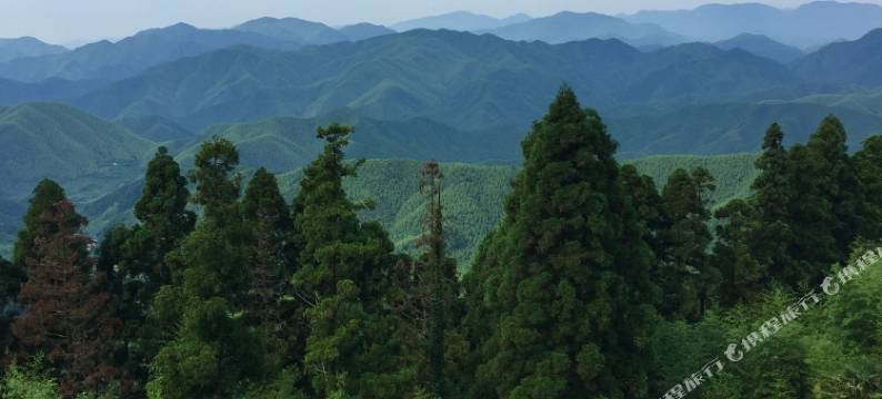 莫干山山中来信·从前慢民宿图片