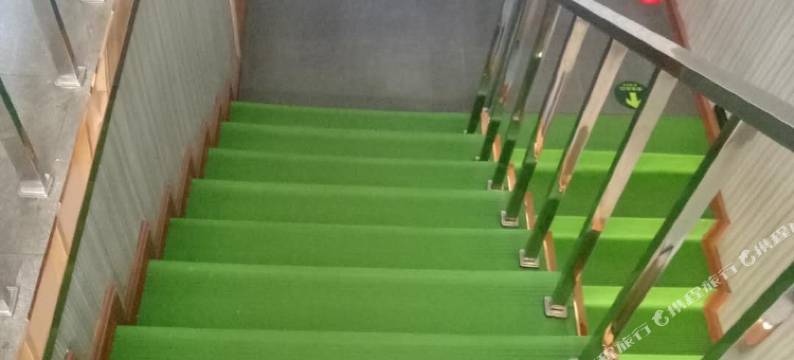 哈尔滨泰迪熊主题宾馆图片