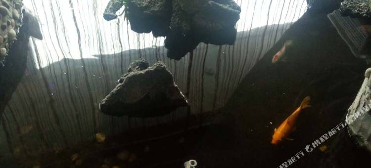 芒果主题宾馆(牡丹江四中店)图片