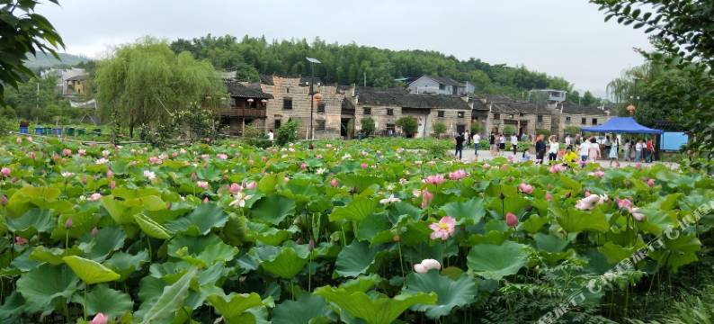 资兴湖畔的家公寓图片