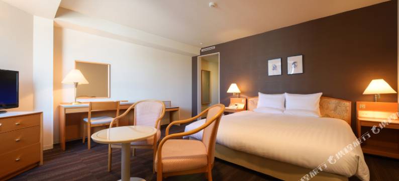 机场航站楼酒店(Air Terminal Hotel)图片