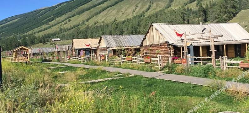 喀纳斯哈力山庄图片