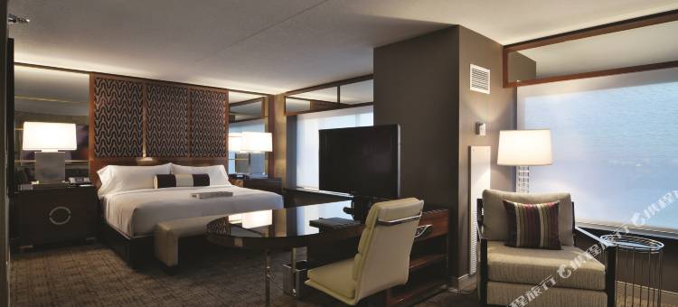 美高梅大酒店(MGM Grand Hotel and Casino)图片