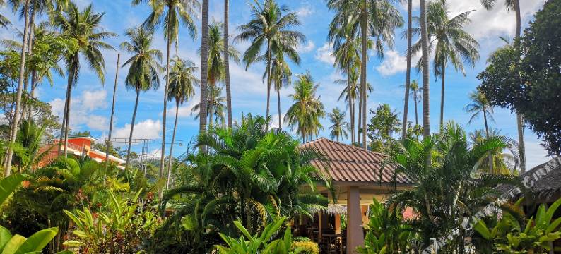 迈向休闲度假村(Hacia Leisure Resort)图片