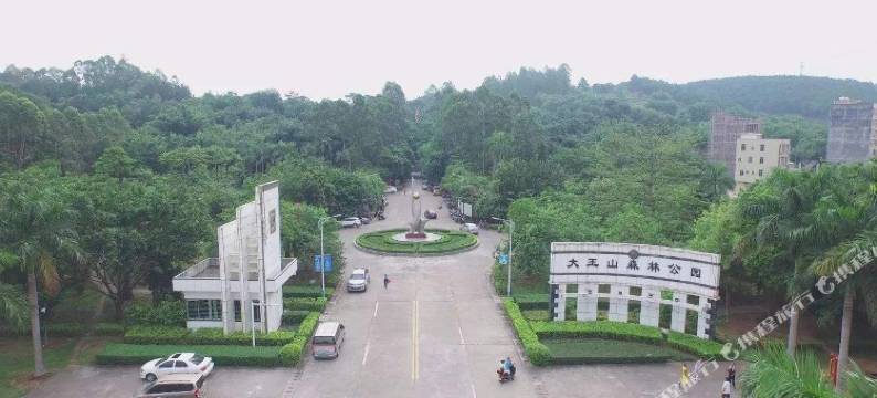 维也纳酒店(深圳沙井京基百纳店)图片