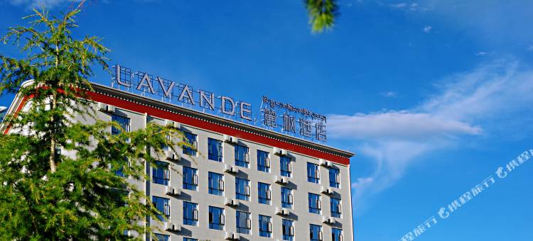 麗枫酒店(拉萨市政府西藏大学店)图片