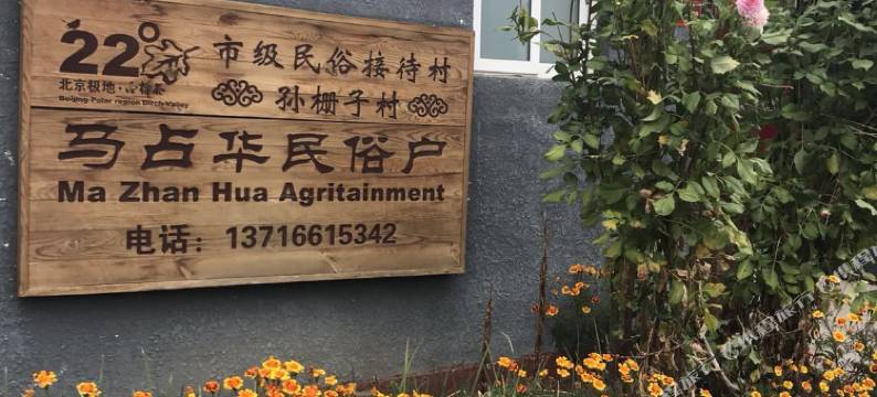 北京喇叭沟门白桦林马占华农家院图片