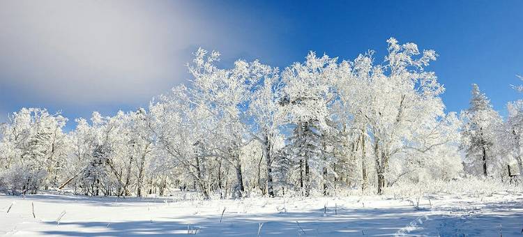 派酒店(哈尔滨中央大街索菲亚教堂市医院店)图片